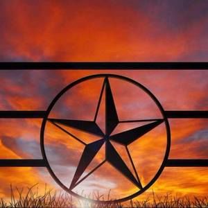 Meet your Posher, Laurie